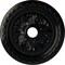 Ekena Millwork Palmetto Ceiling Medallion (Fits Canopies up to 3 5/8"), 23 5/8"OD x 3 5/8"ID x 1 5/8"P, Black Pearl CM23PMBPS - alternate 1
